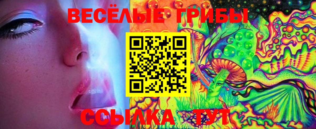 Прохладный  Псилоцибиновые грибы GOLDEN TEACHER  Вход с VPN  где можно купить наркотик  Галлюциногенные грибы мухоморы 