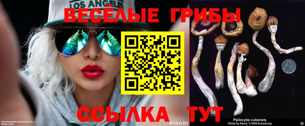 Галлюциногенные грибы мухоморы Прохладный